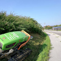 Grünpflege an Wegesrändern durch TGP